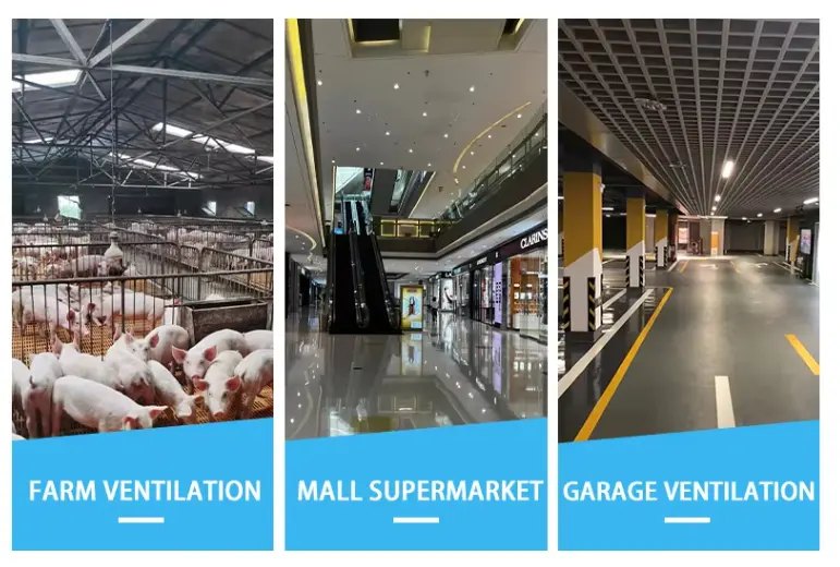 Type F Induced Draft Fan